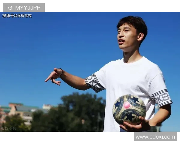 天津地区刘姓足球明星及其成就盘点与回顾