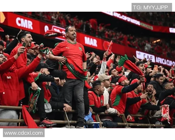 摩洛哥足球明星崛起之路揭秘与成就回顾